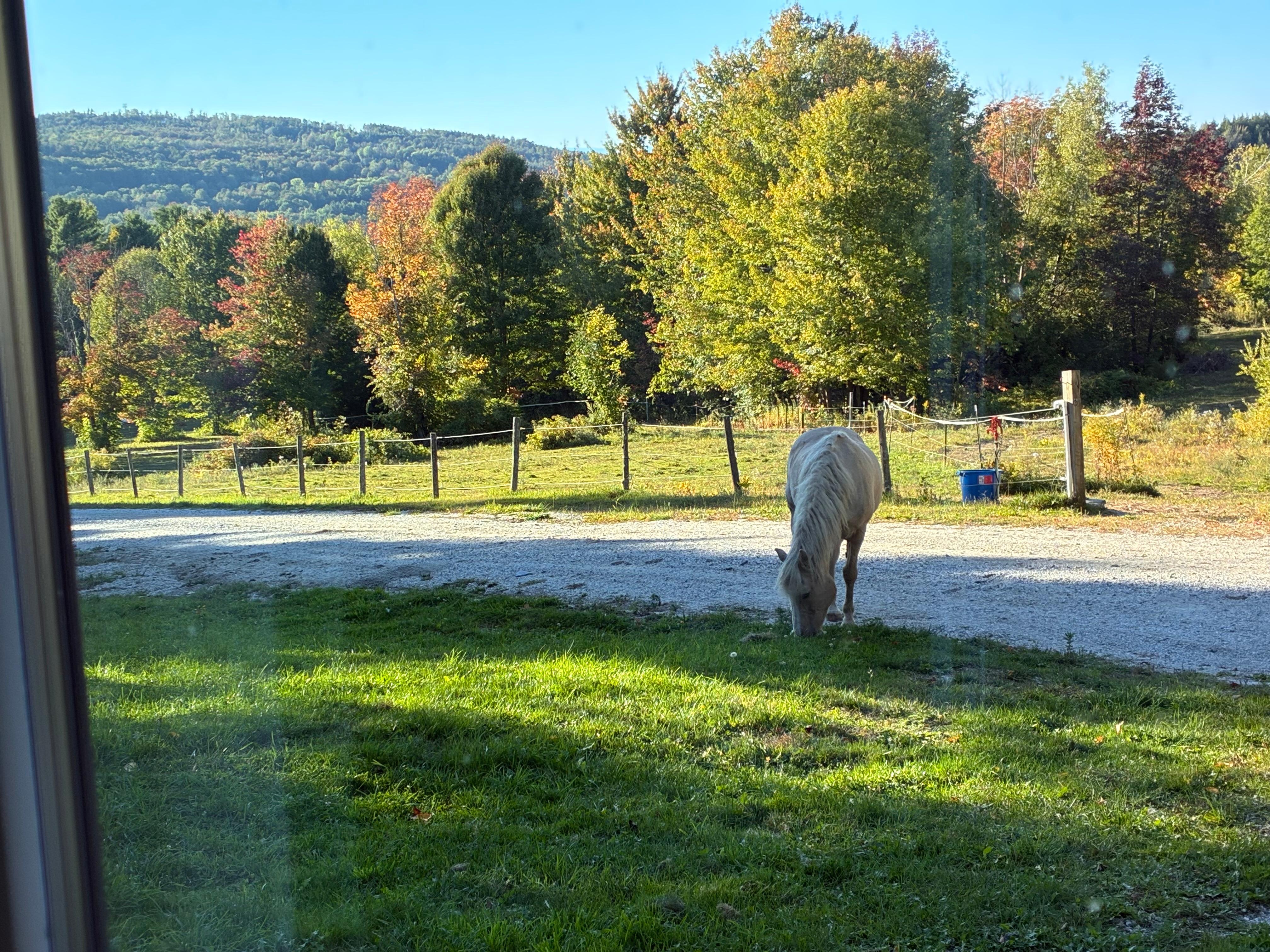 The view out of the LR window 