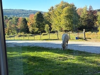 The view out of the LR window