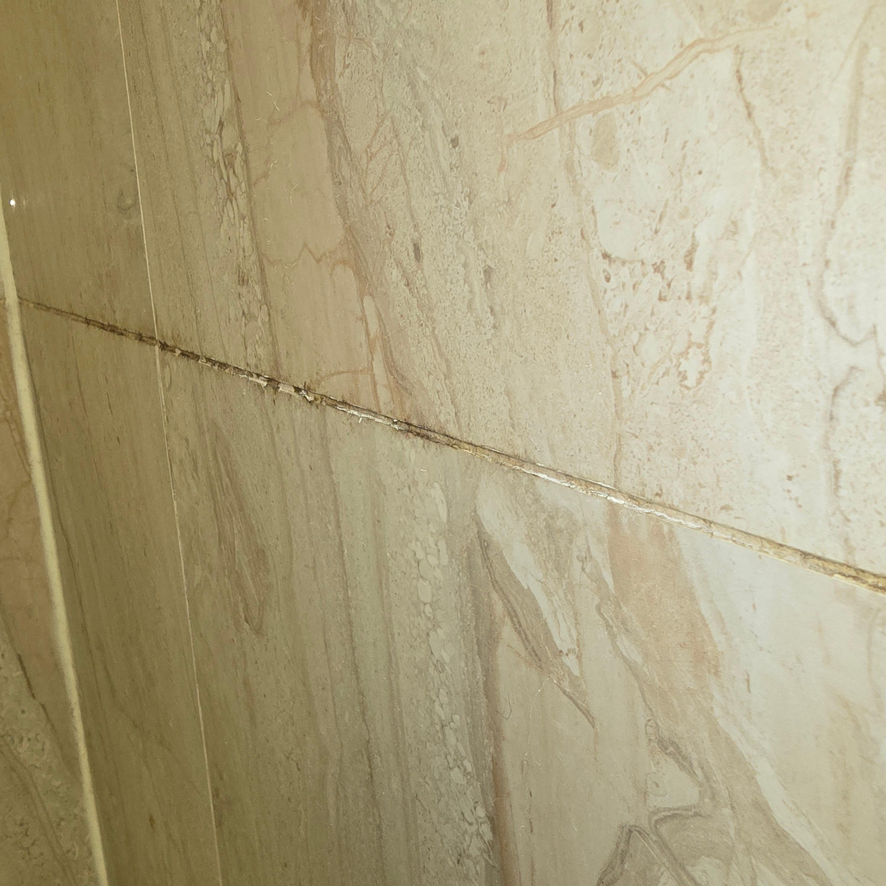 Gross mildew