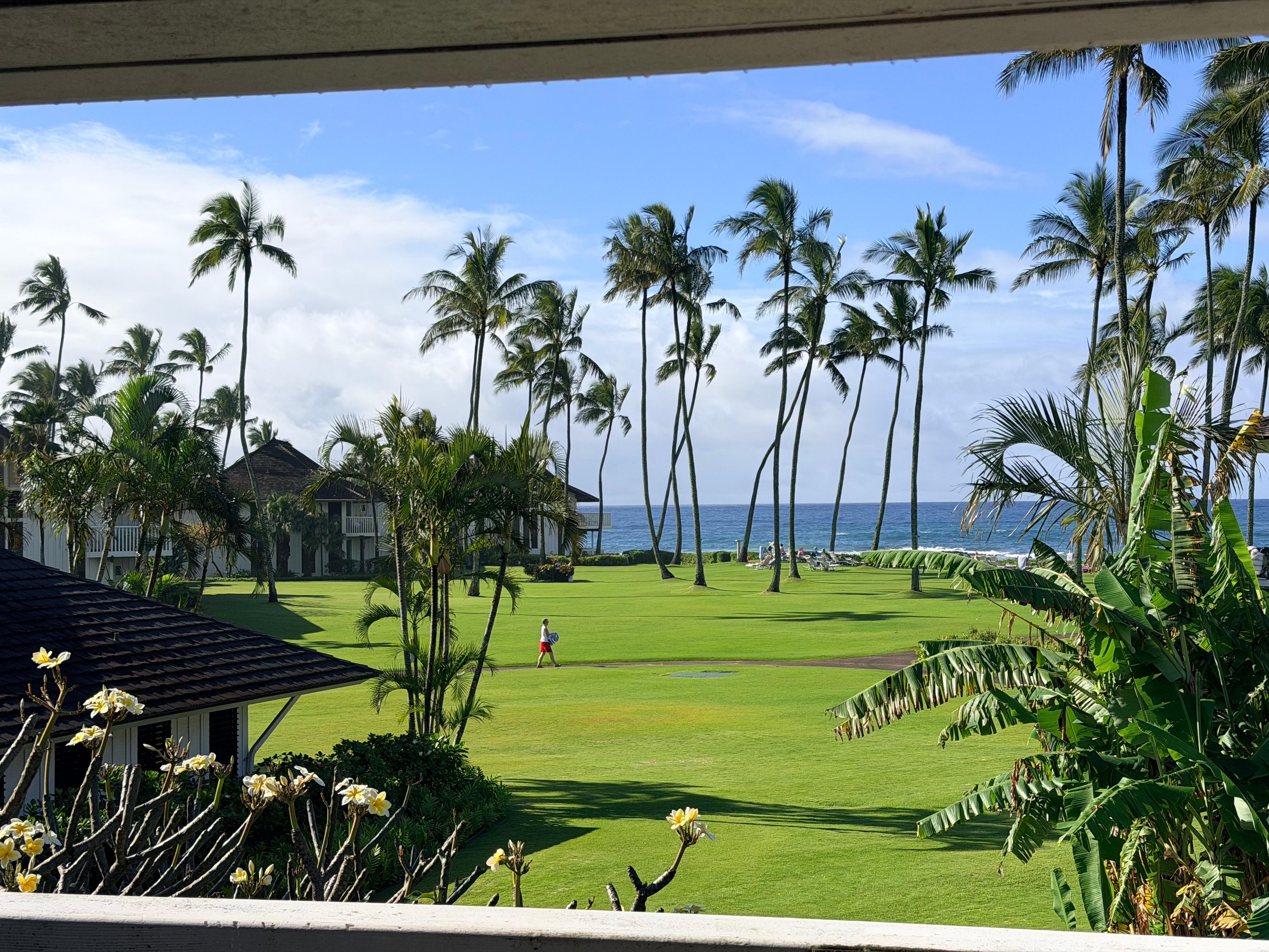 Beautiful view from the condo.