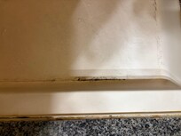 Mildew on the shower floor