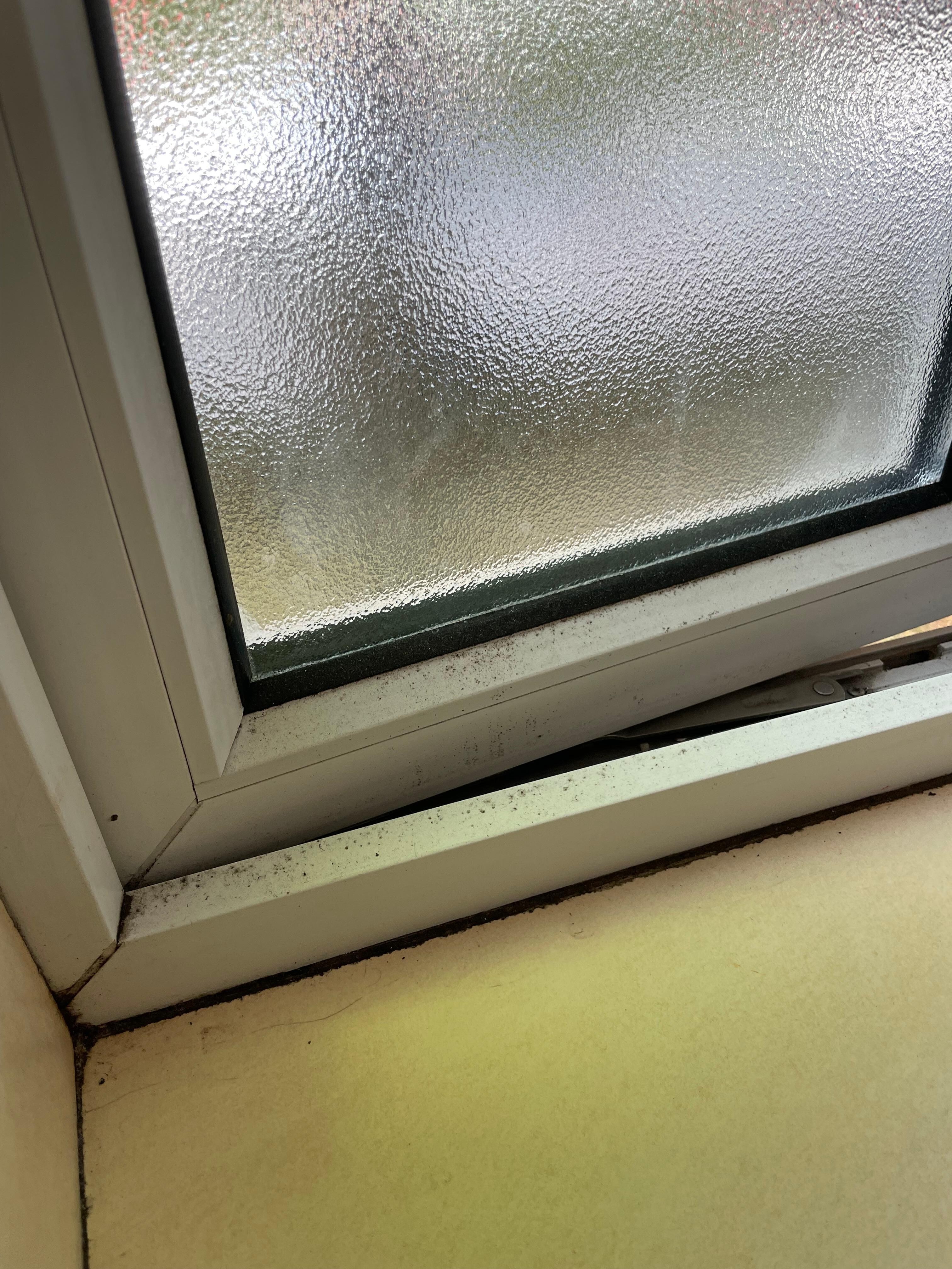 mold around upstairs windows