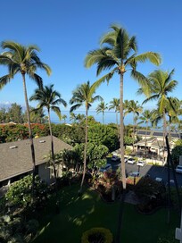 Back lanai view