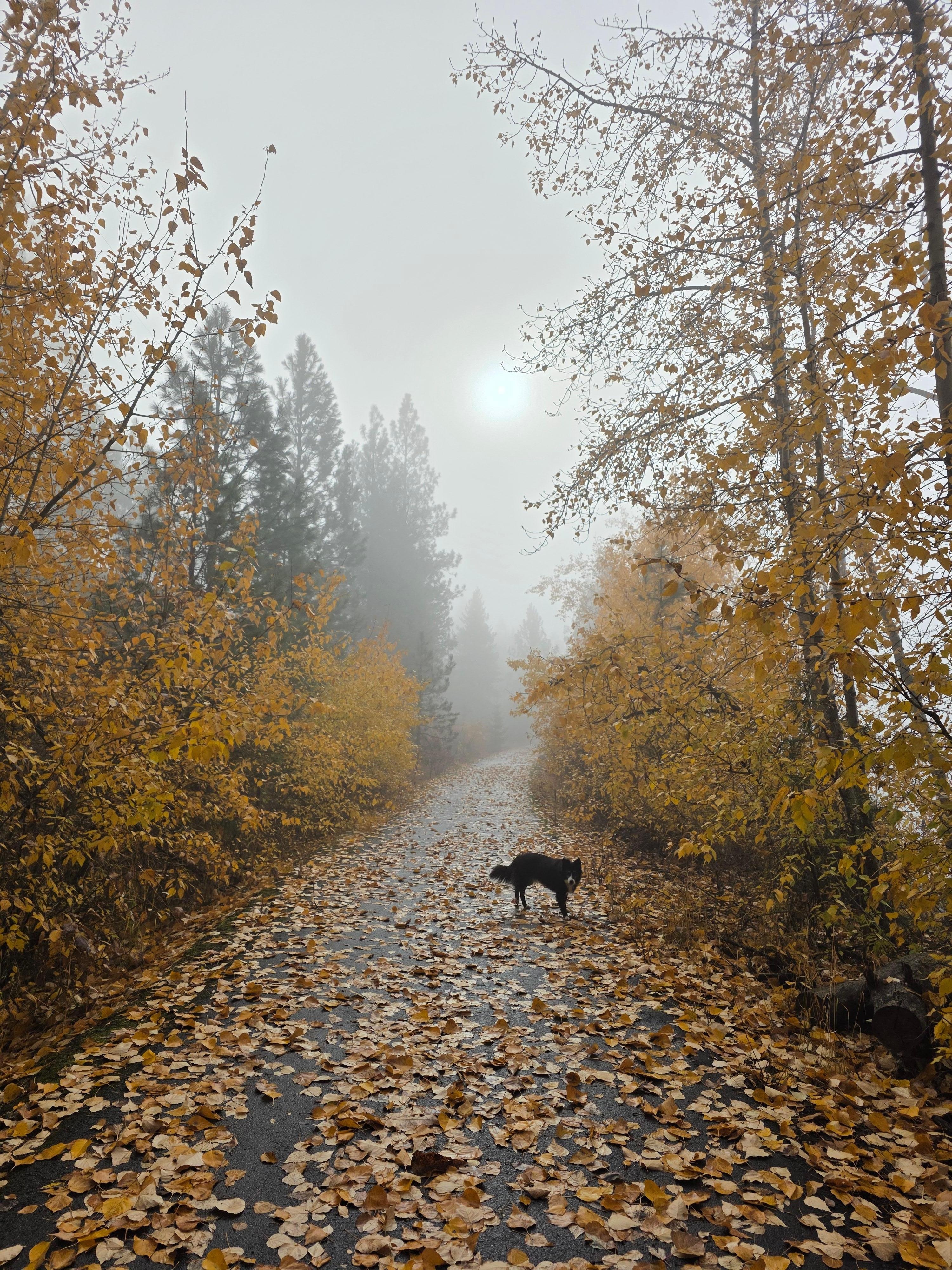 On the bike path just below the rental