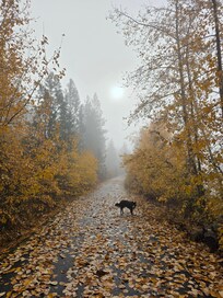 On the bike path just below the rental
