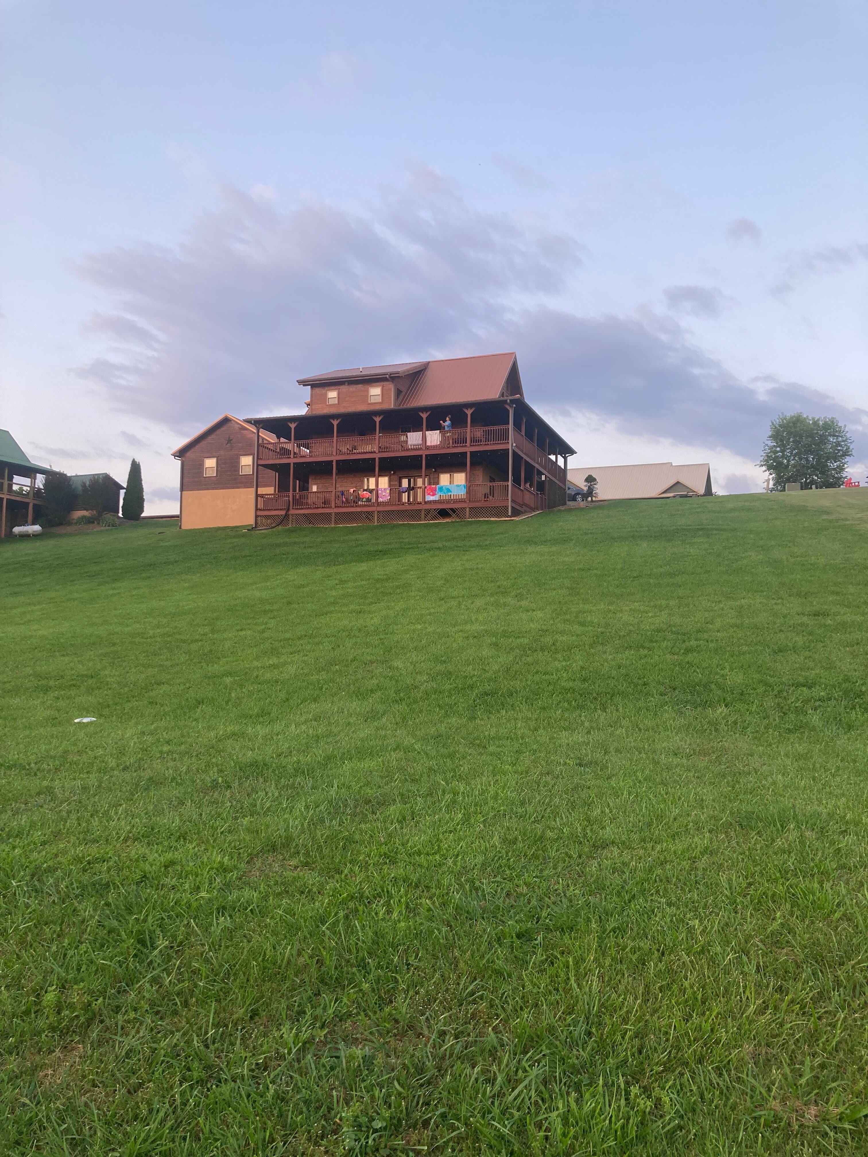 From the back yard