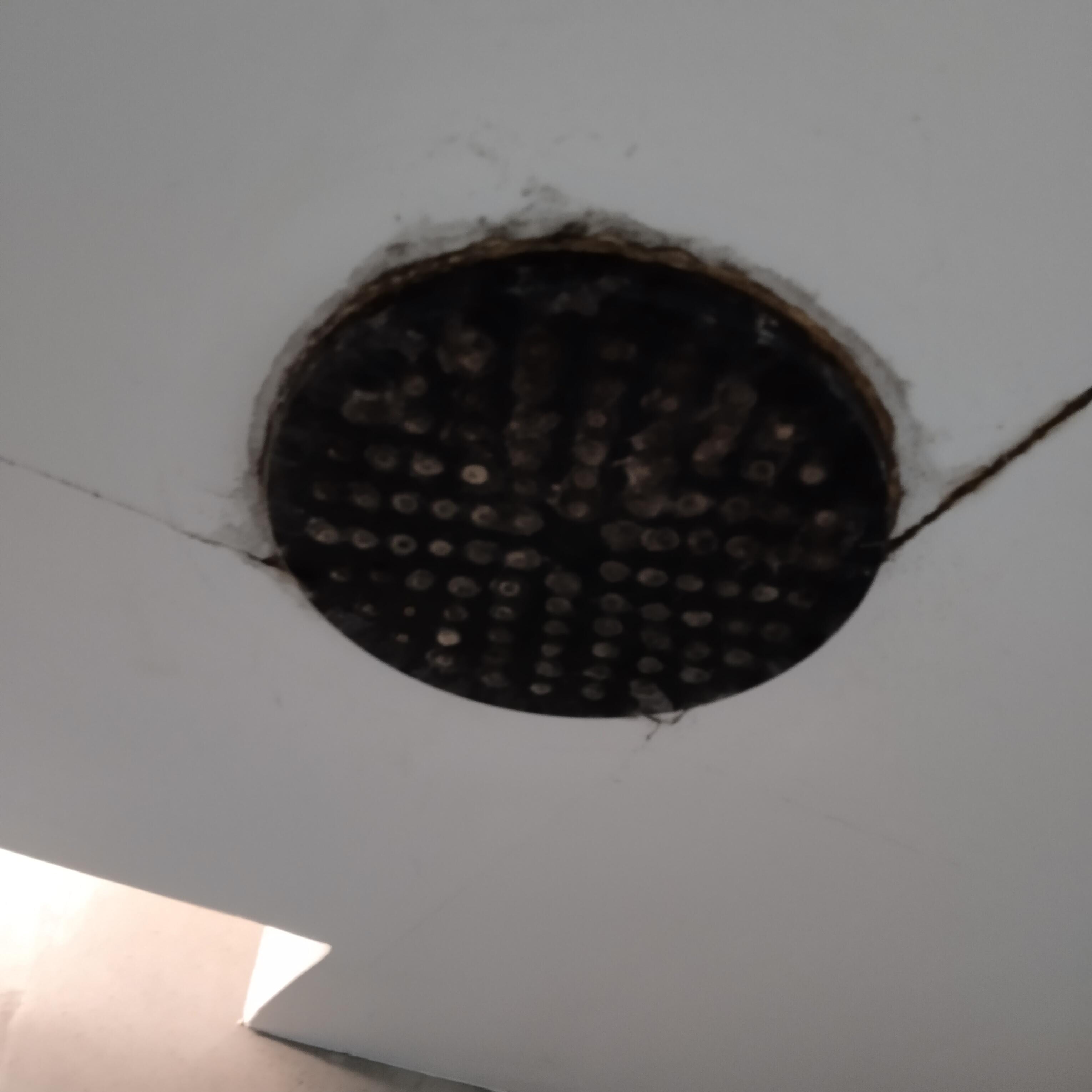 Mold shower head