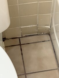 Dirty floor and needs repairs