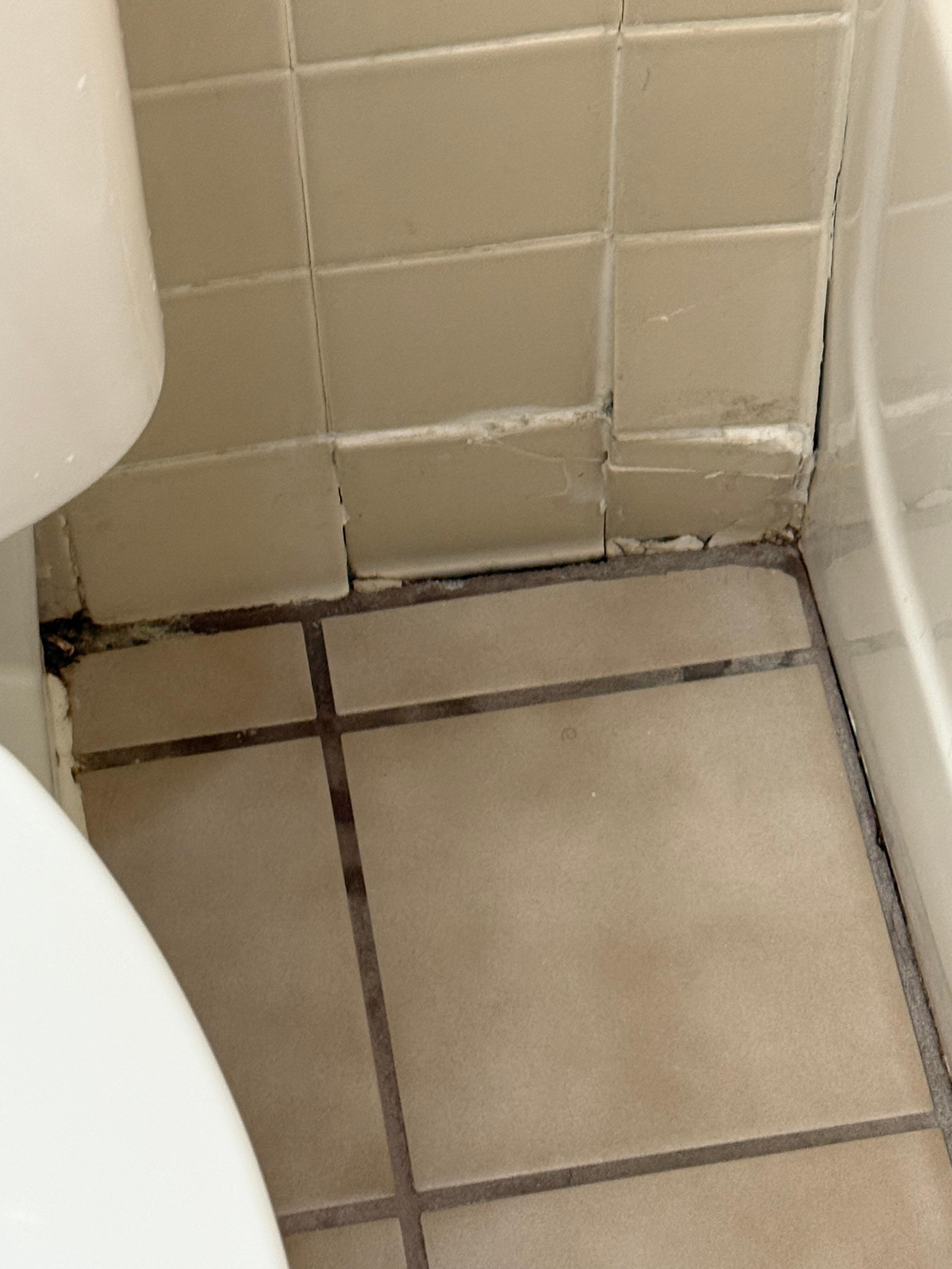 Dirty floor and needs repairs