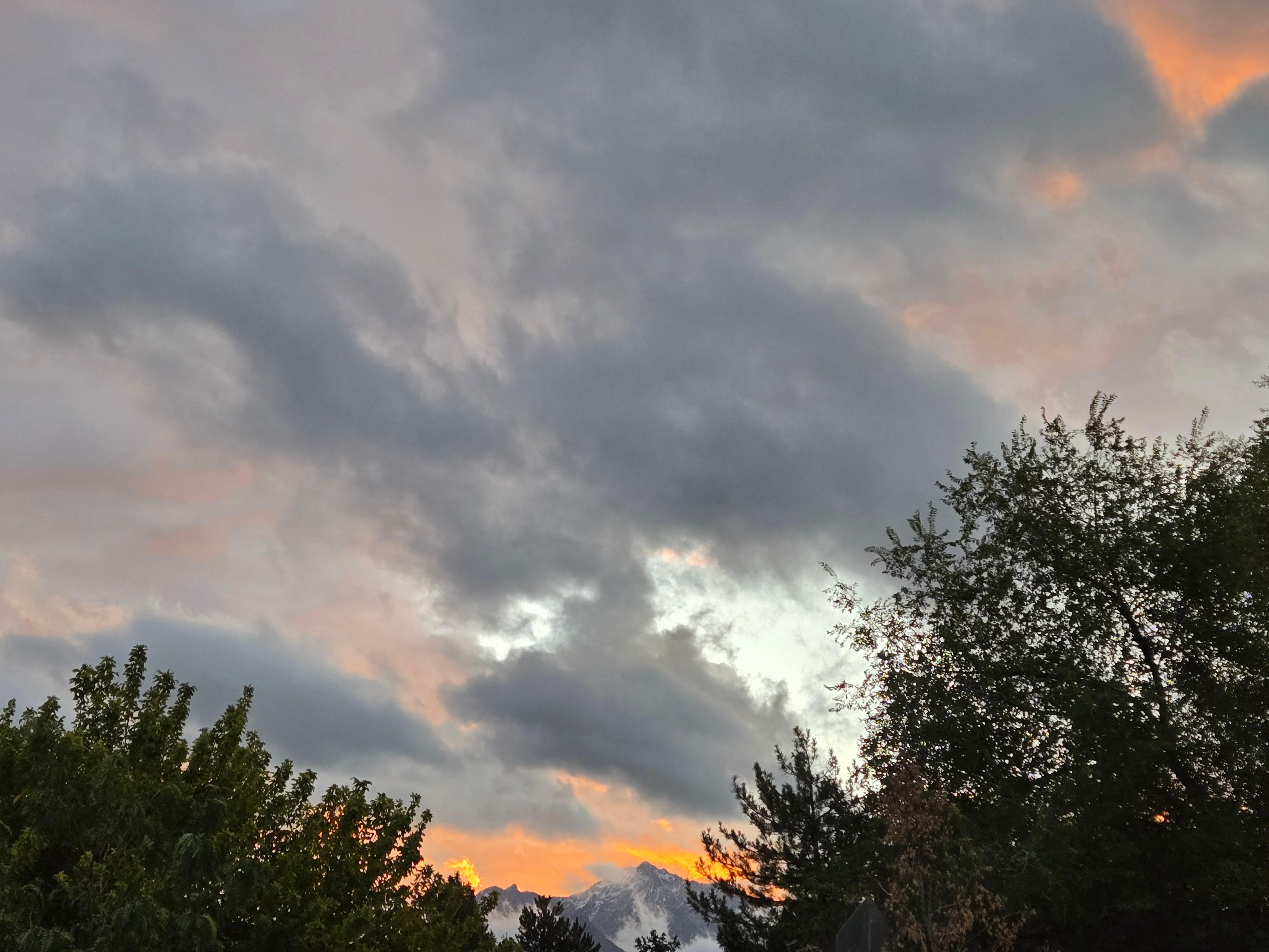 Views from near house. 