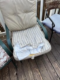 torn cushions