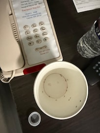 At night we had a drink and kept the empty cup a side for a while and found them.🤯