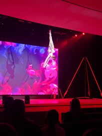 Circus show