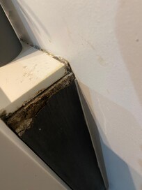 Cabinet delaminating and possible mold