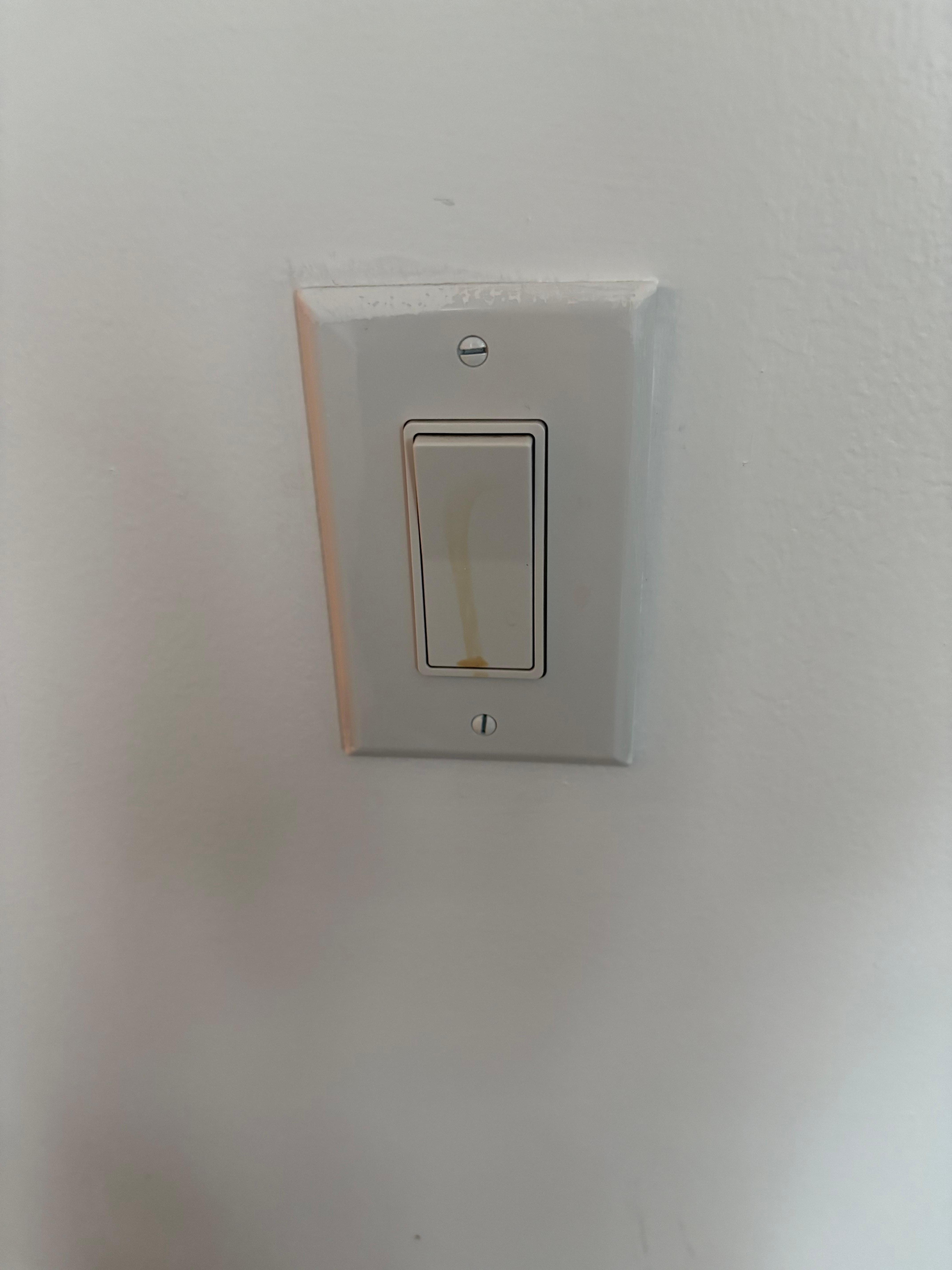 The light switch that was gross.