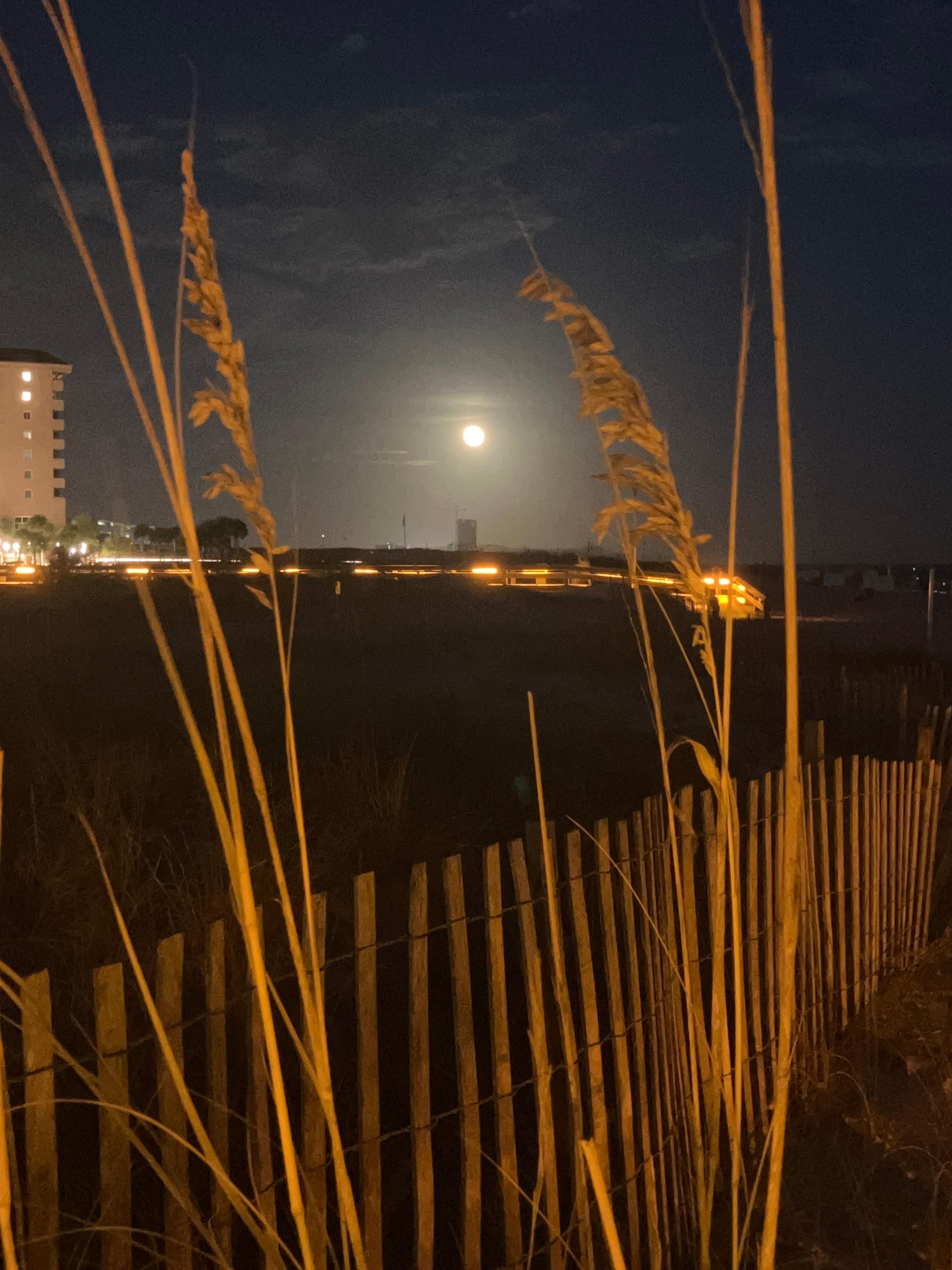 October harvest full moon 10/6/2025