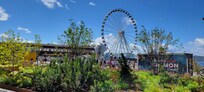 Seattle Wheel