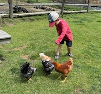 Friendly Farm, Dublin, NH