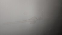 Interesting shaped water spots on ceiling....