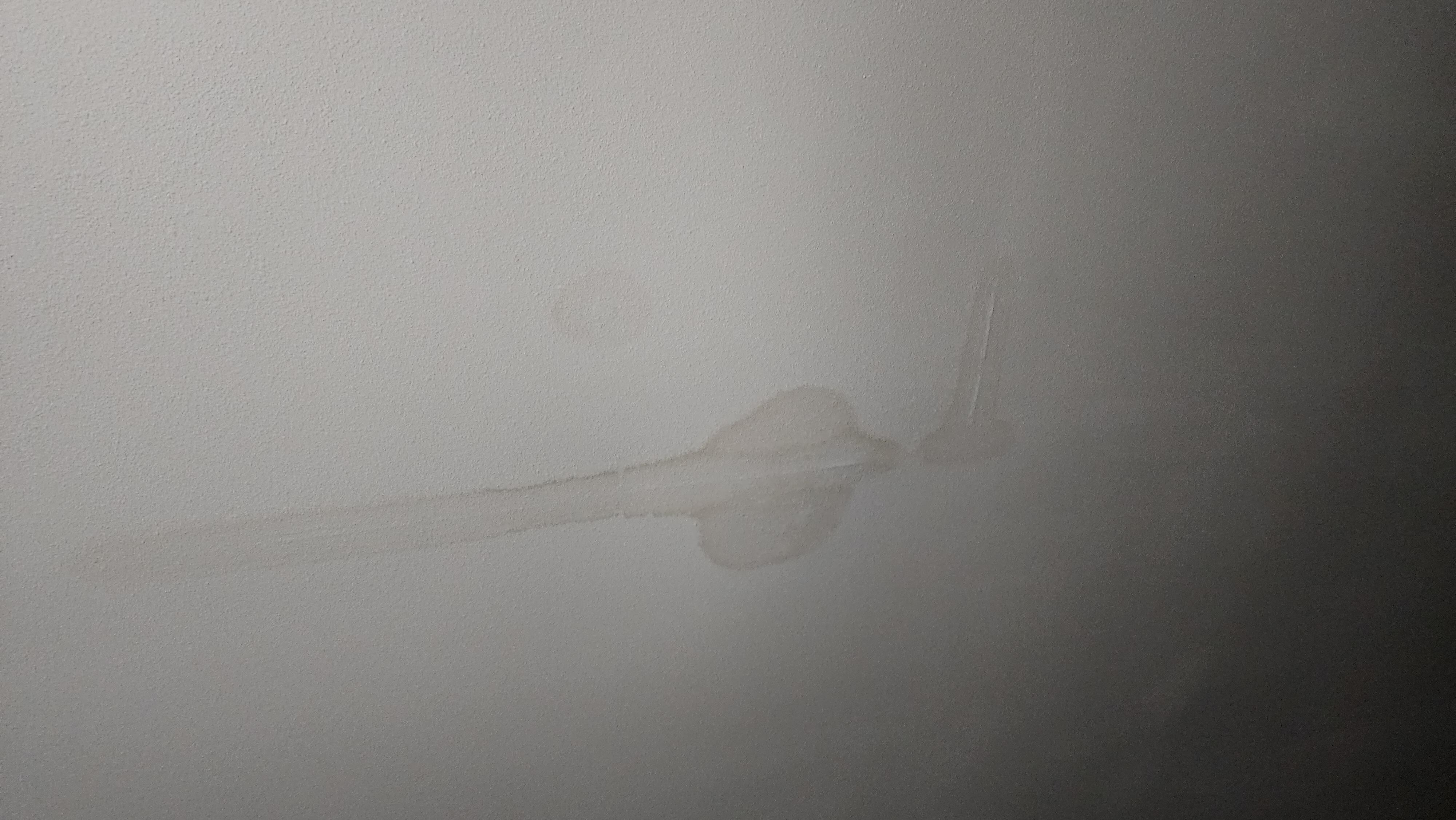 Interesting shaped water spots on ceiling....