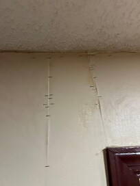 Staples holding the wallpaper together on the walls