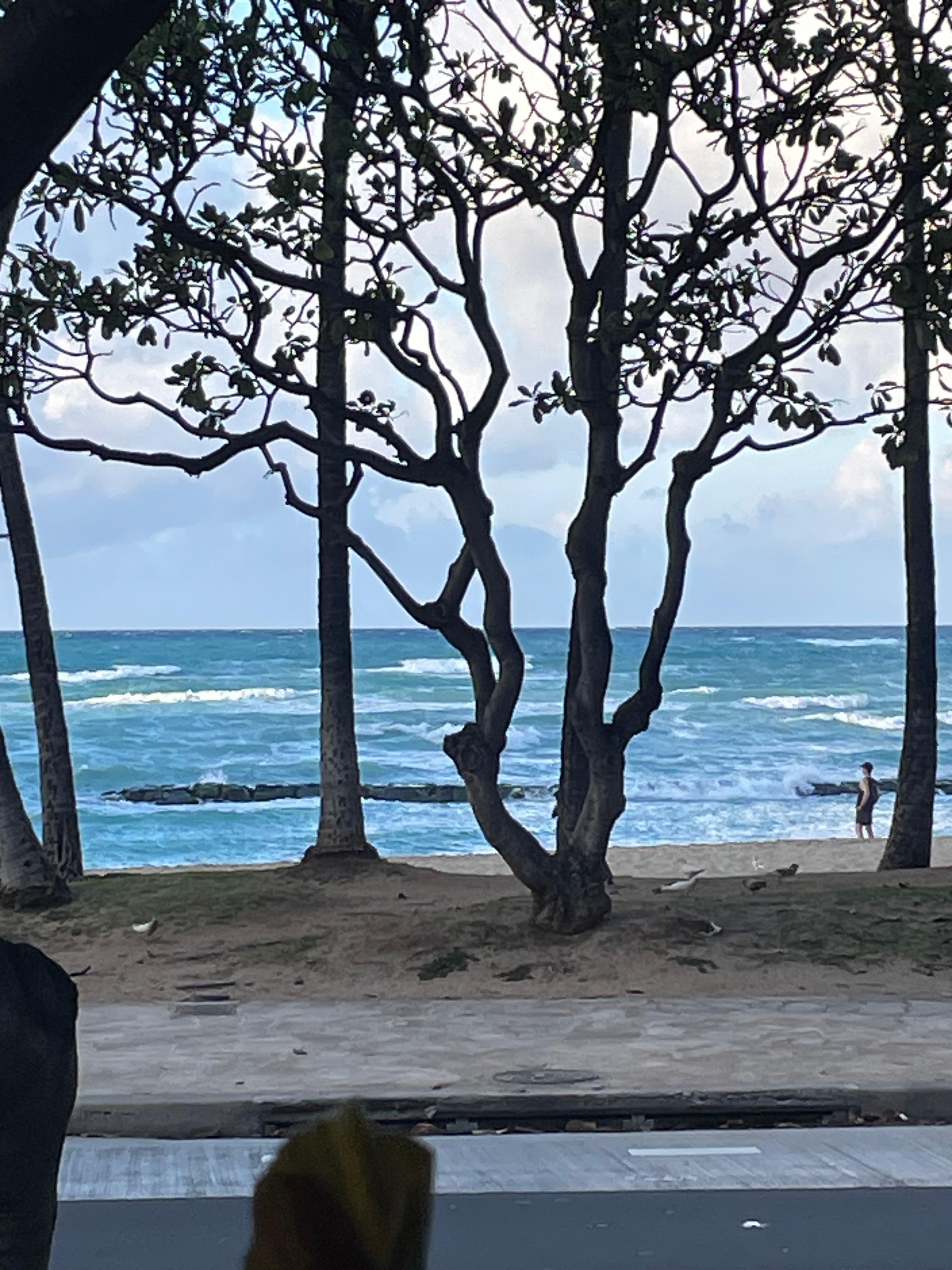 From our booth at Eggs and Things 