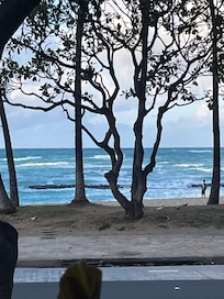 From our booth at Eggs and Things