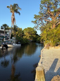 Backyard Paradise
