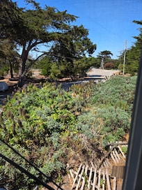 View outside my room