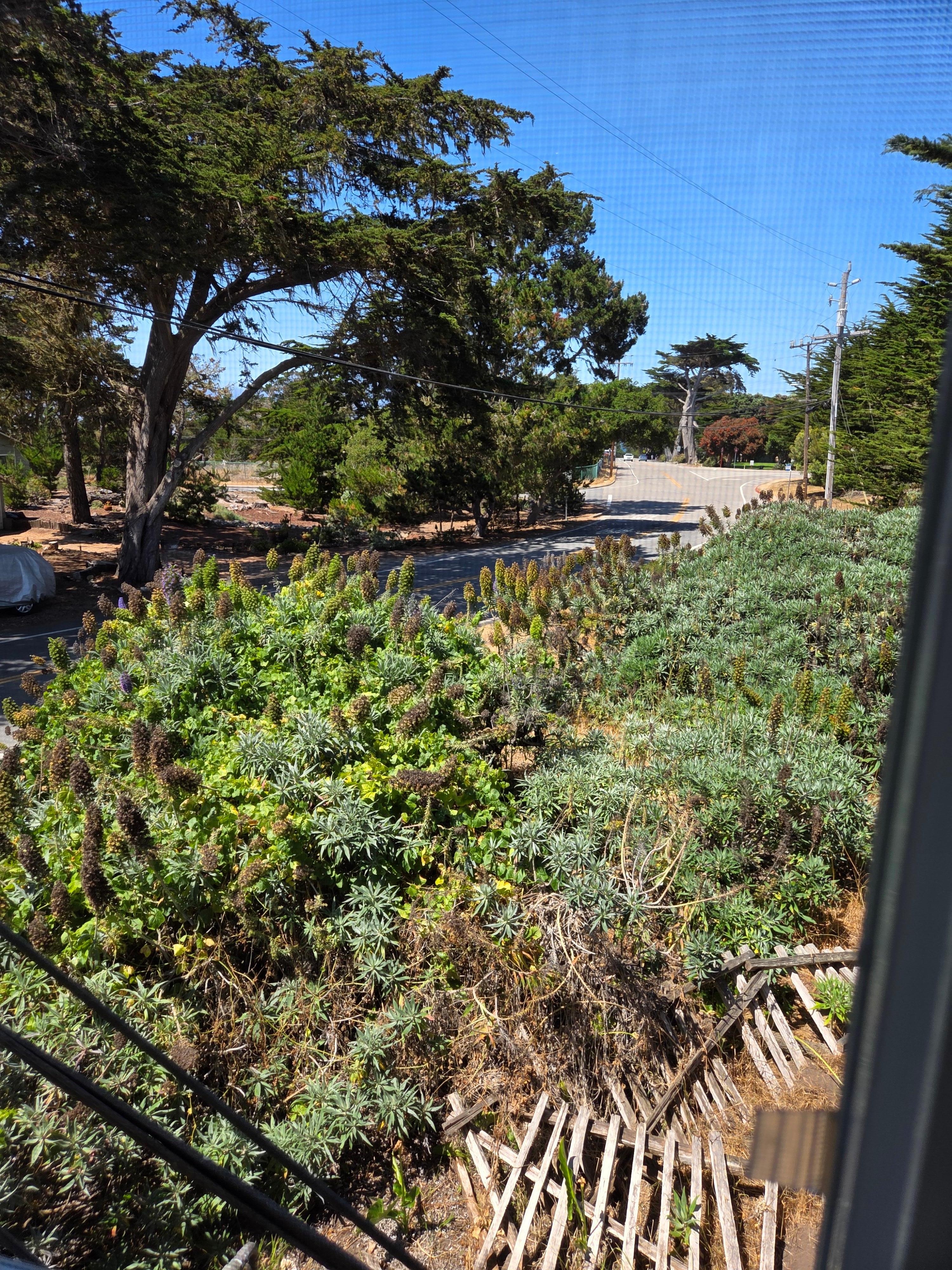 View outside my room