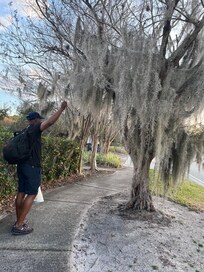 The area was nice and convenient to restaurants