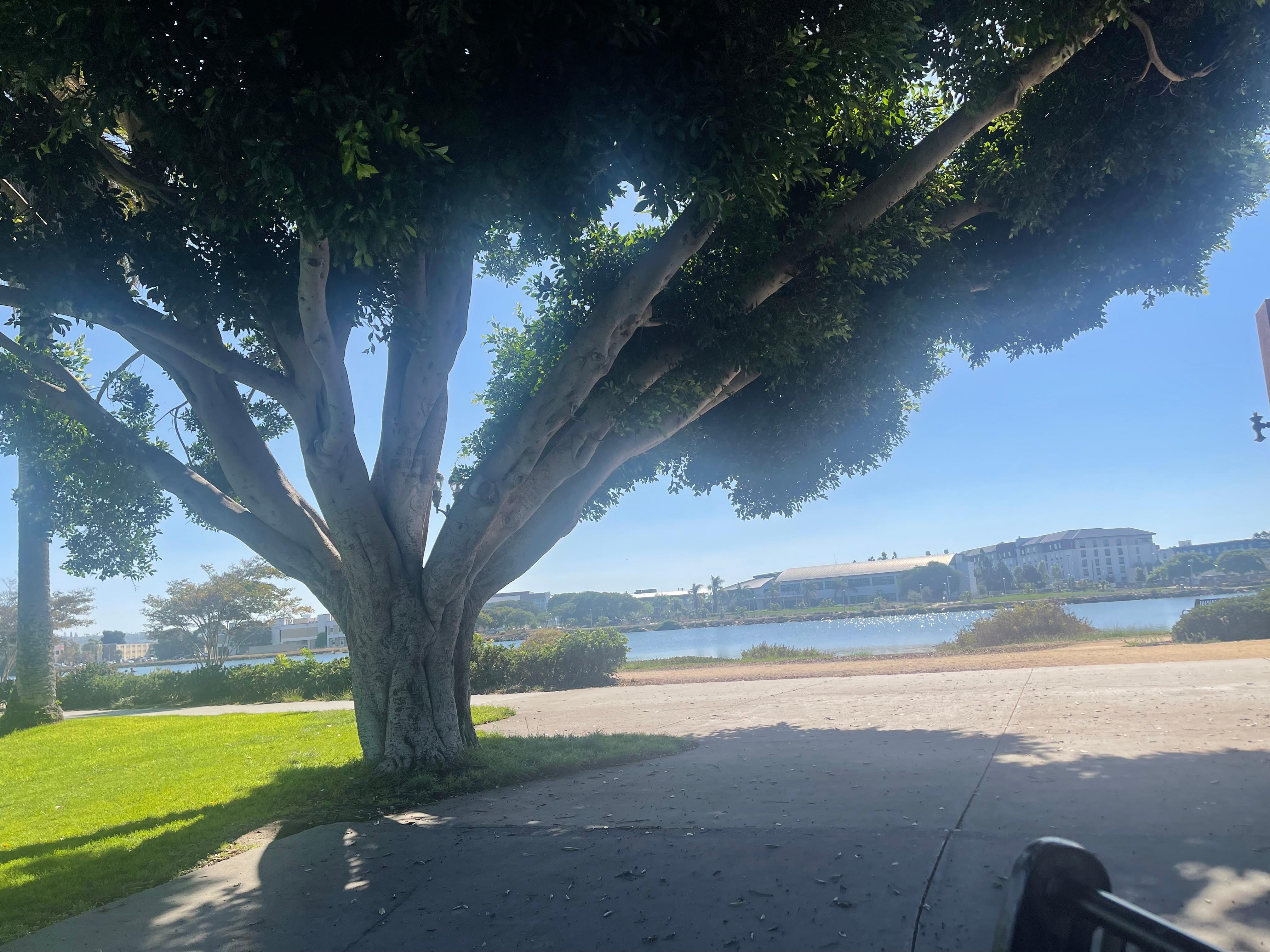 Trail areas connect with a park . Relax , nature , benches to sit down .