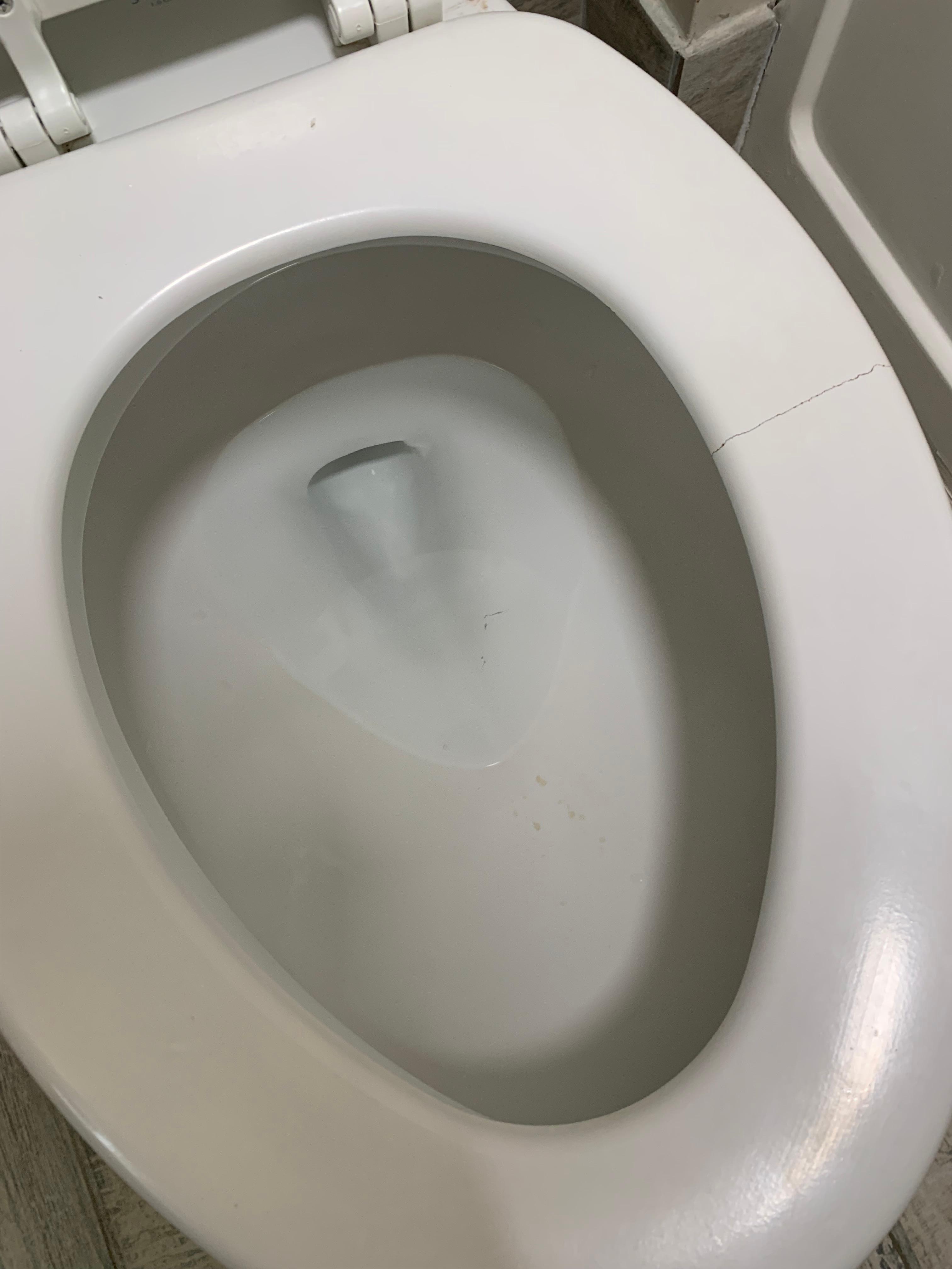 Cracked toilet seat