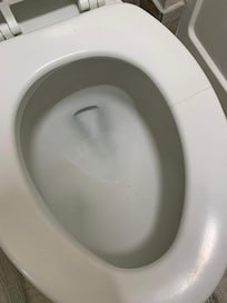 Cracked toilet seat