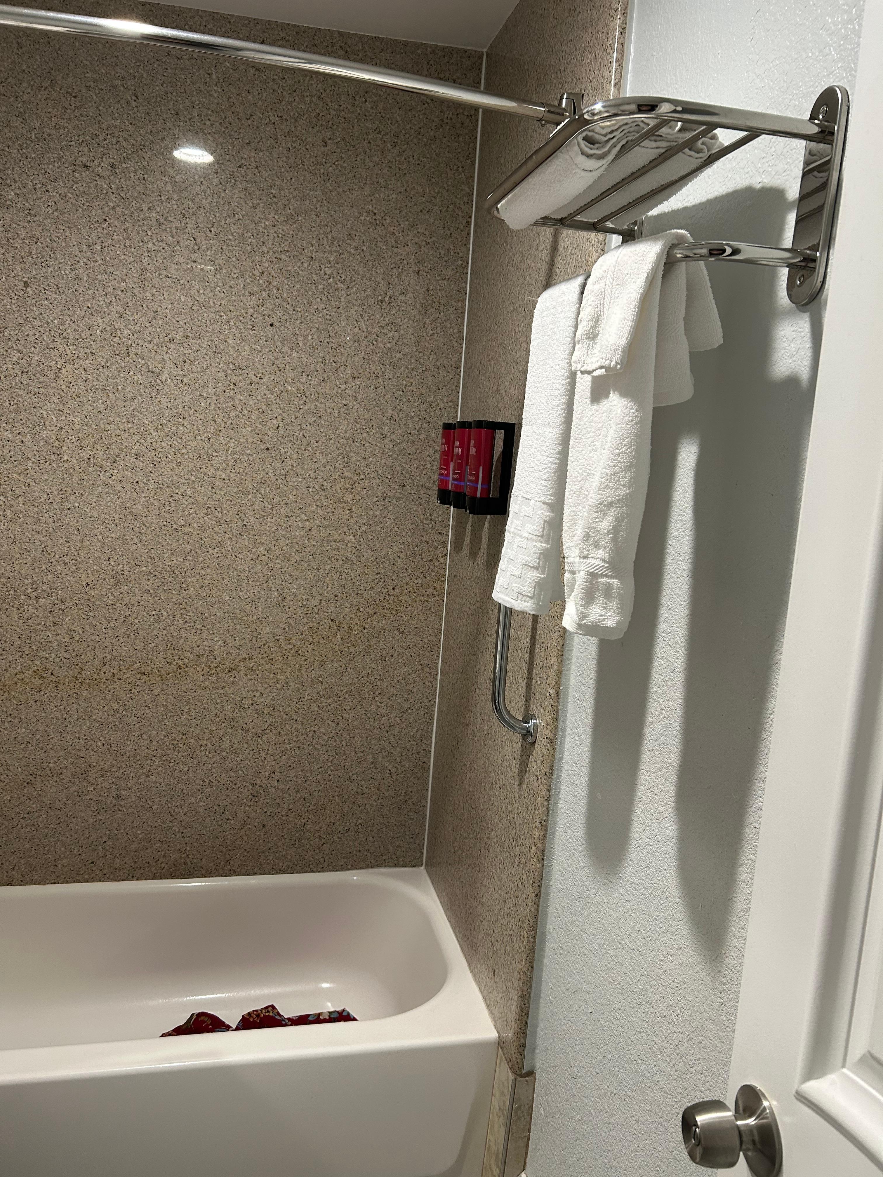 shampoo, conditioner, multiple towels very nice