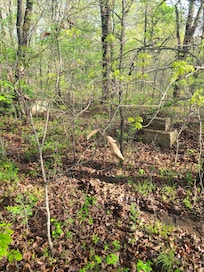 The trail is a must do thing!