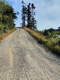 Road up to house is just a mess.