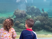 Underwater reef aquarium