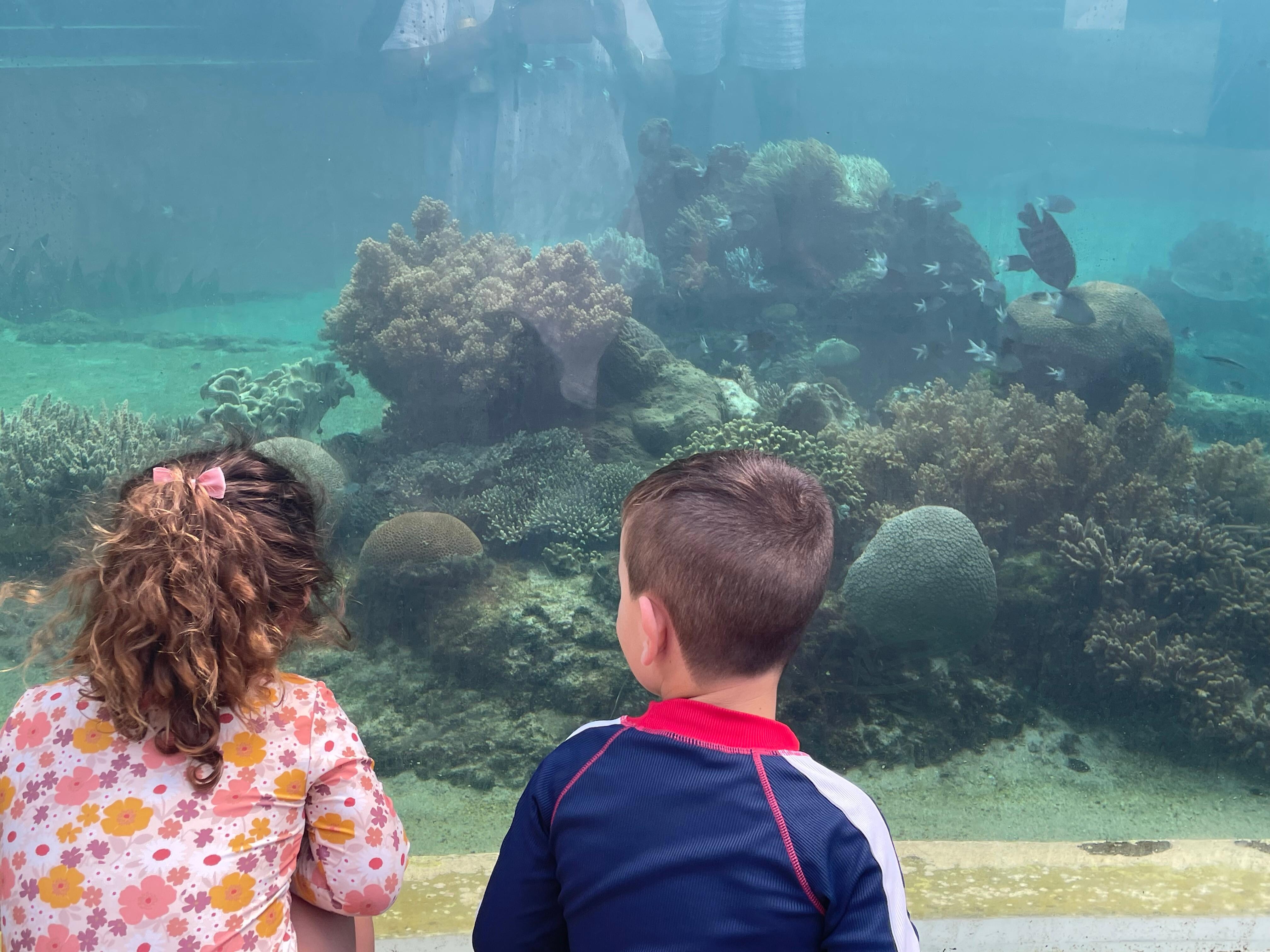 Underwater reef aquarium 