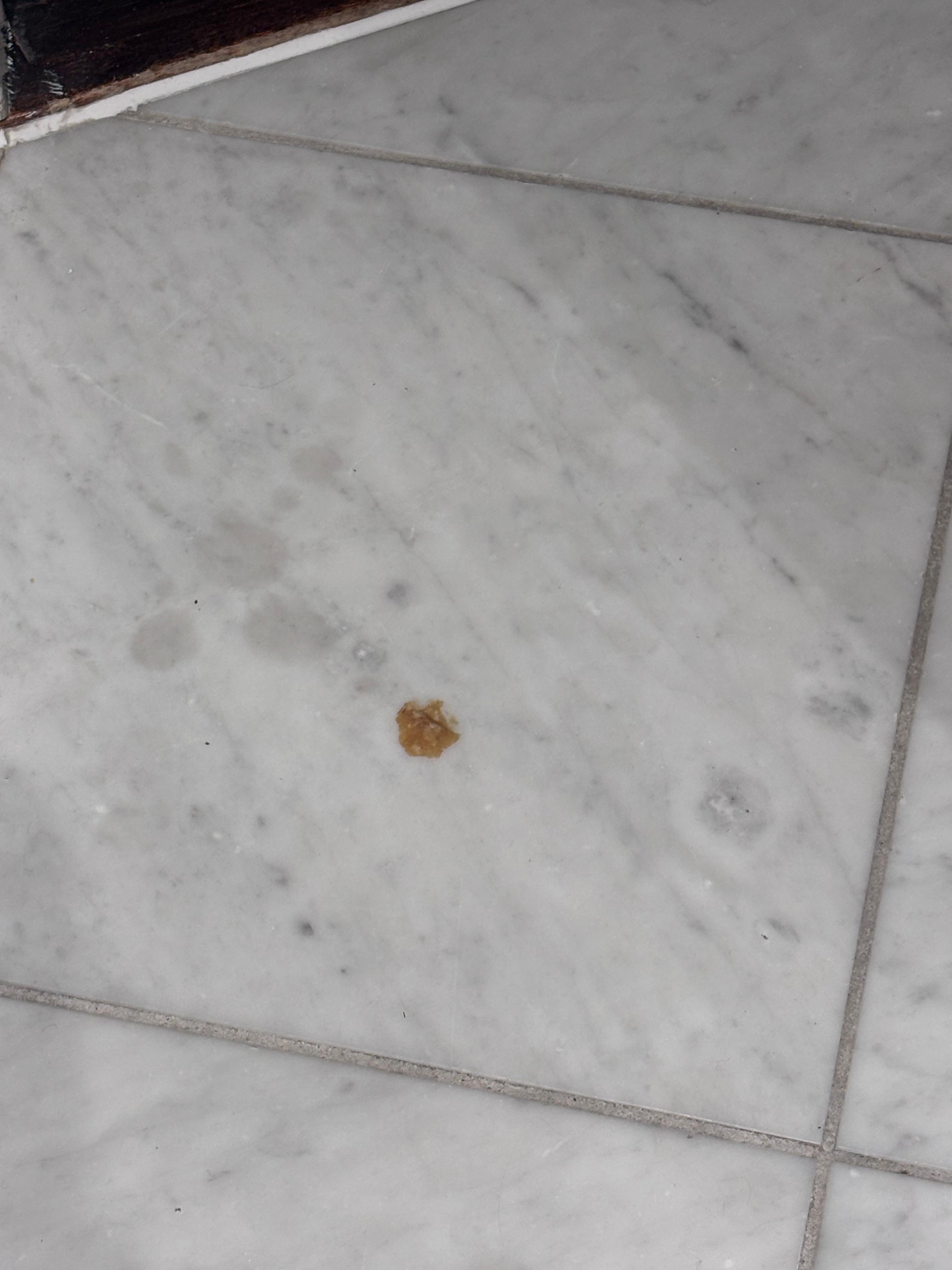 No idea what this was at all on the bathroom floor 