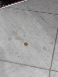 No idea what this was at all on the bathroom floor
