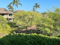 View from the lanai.