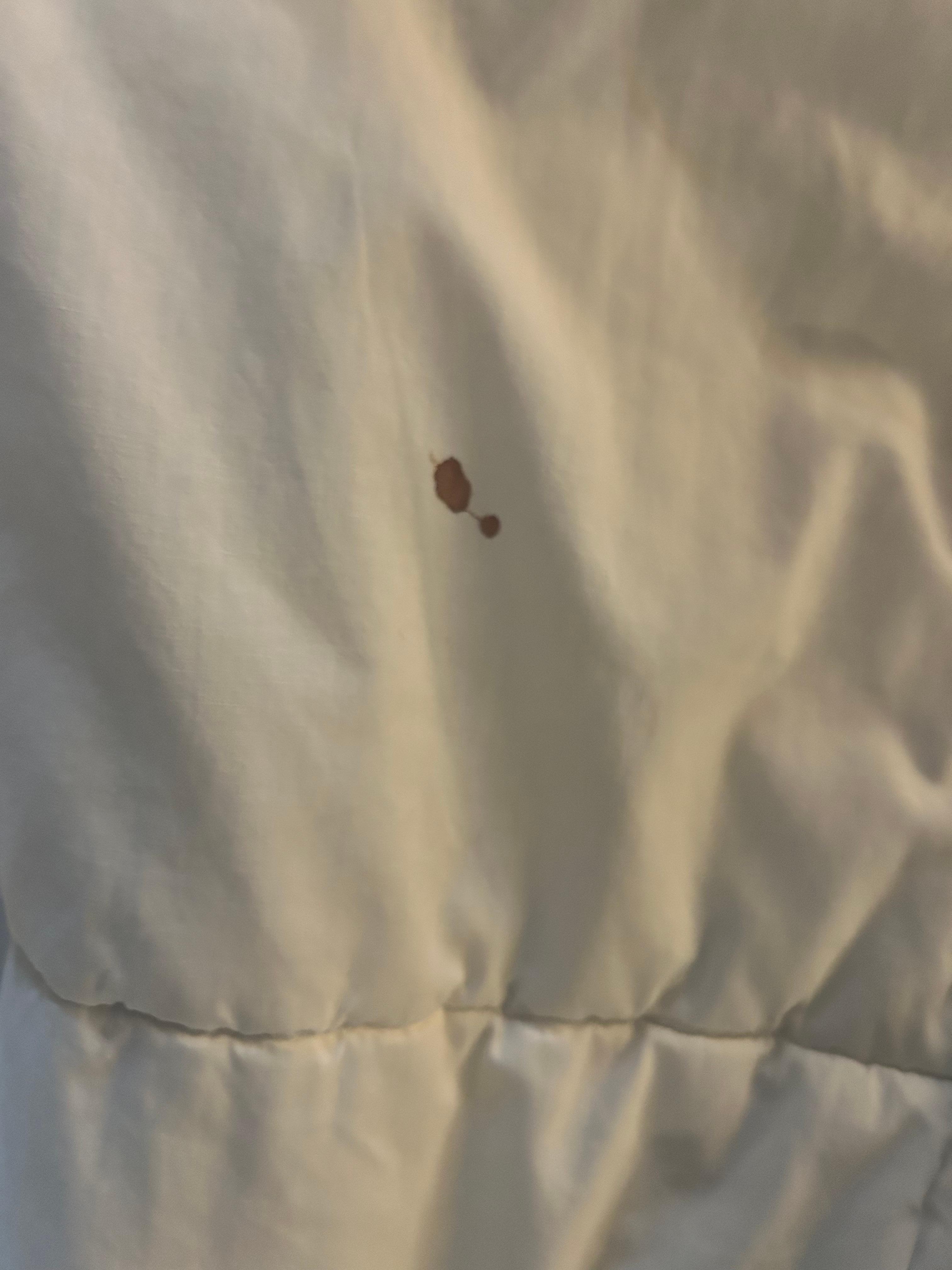Blood stained comforter 