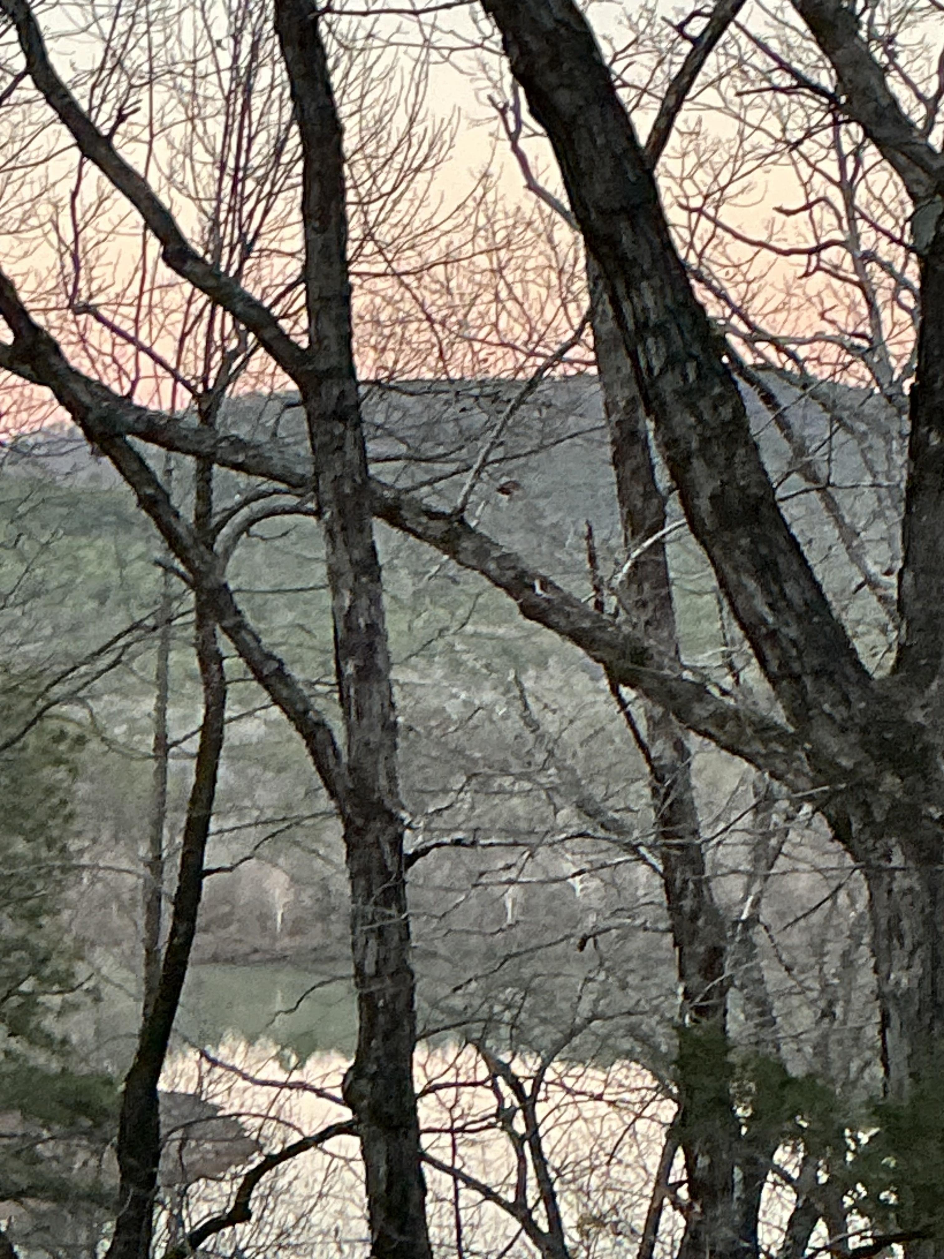 View from our living room 