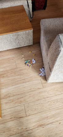 Left by previous prrson