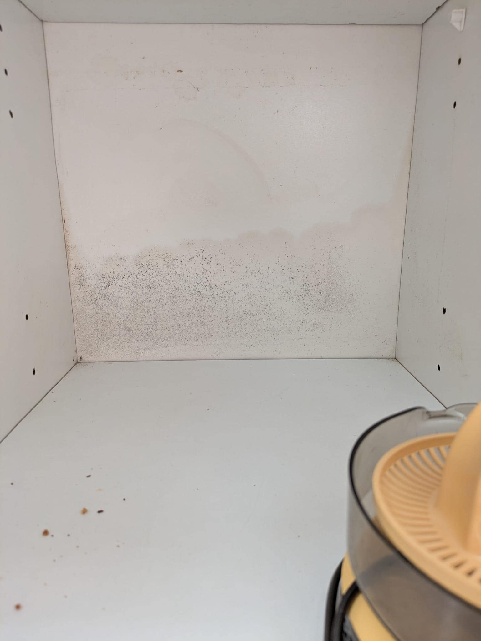 Schimmel in den Küchenschränken 