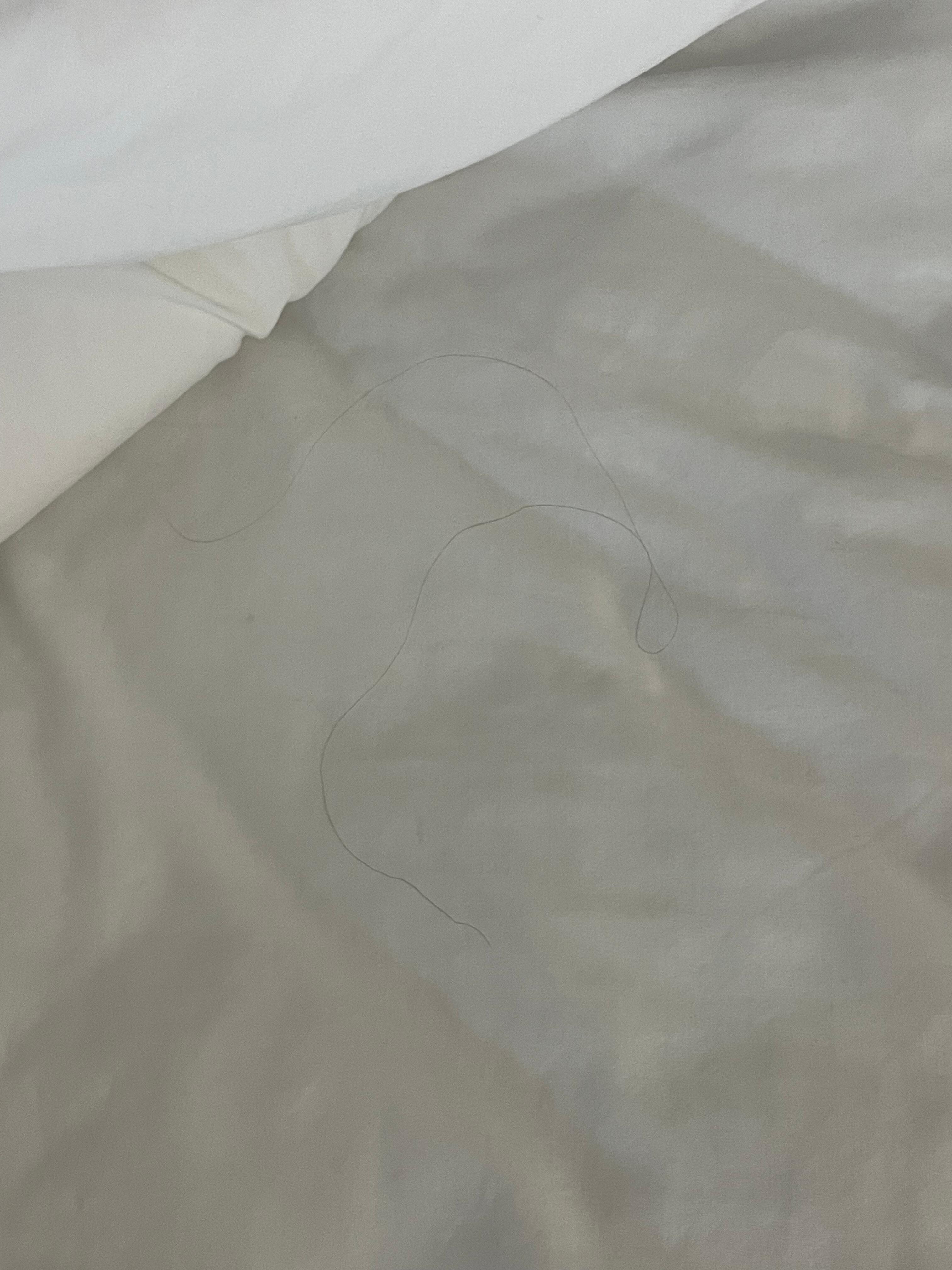 More hair in the bed!