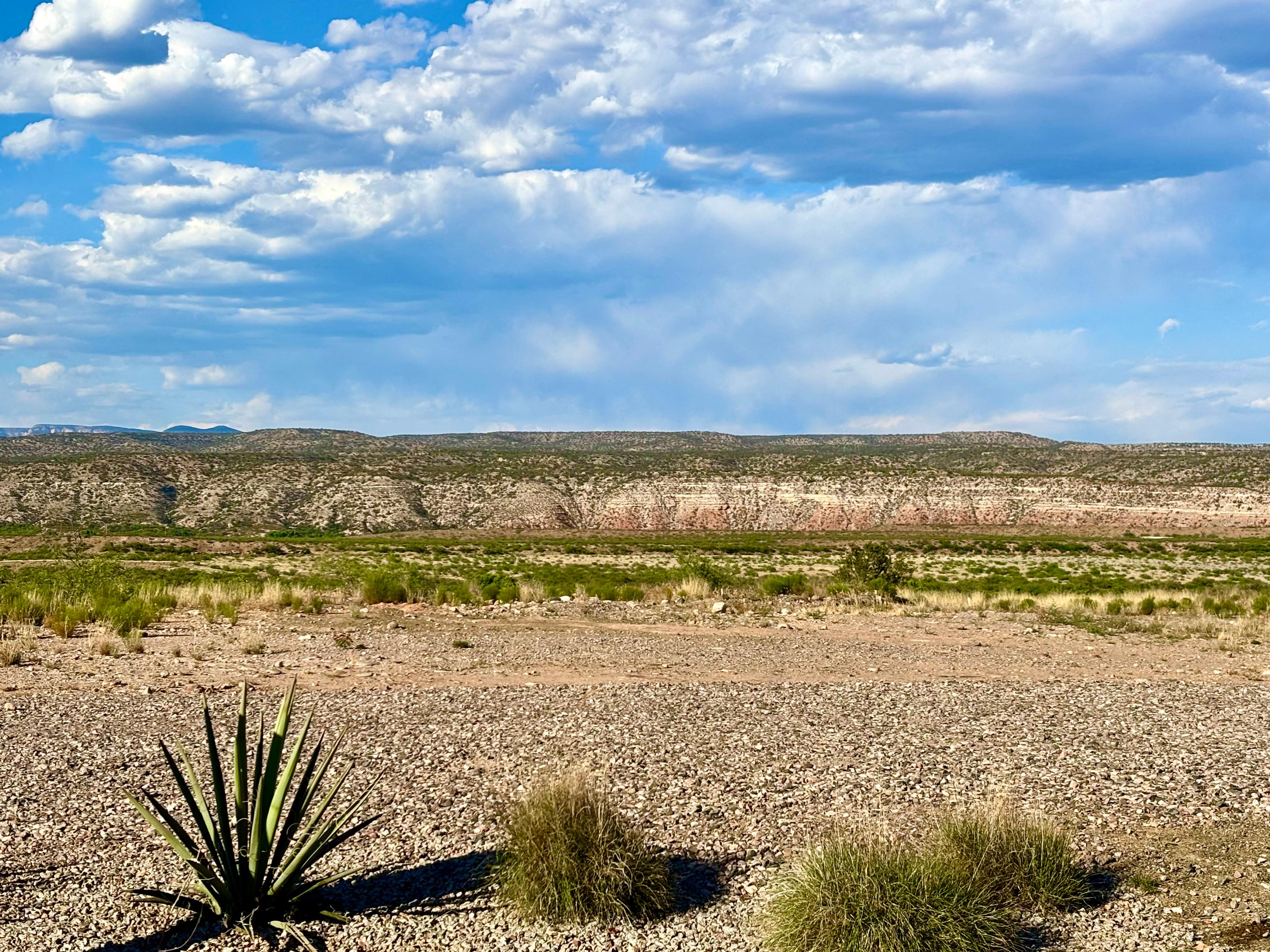 The view from the outdoor patio.