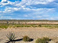 The view from the outdoor patio.