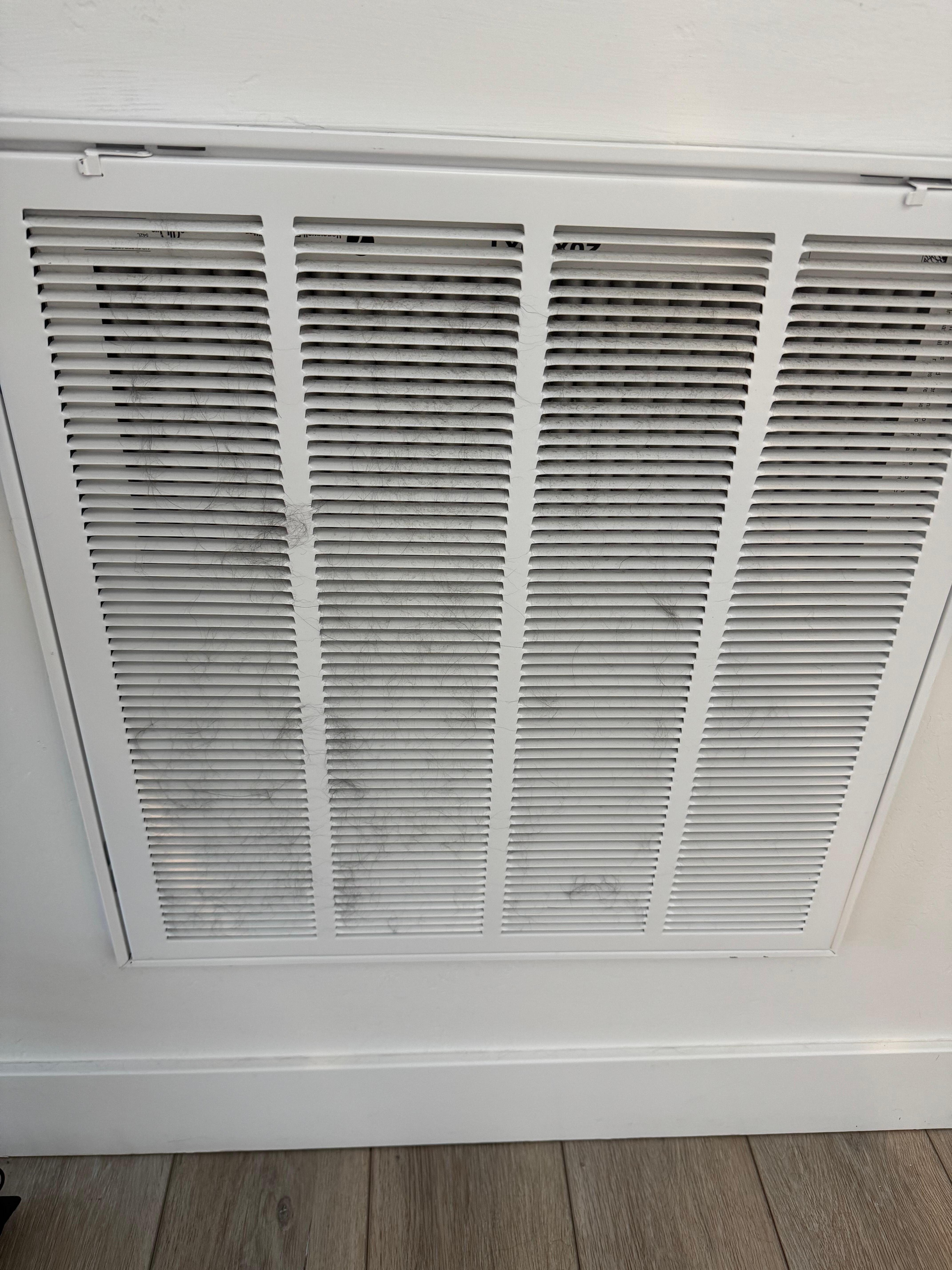 Dog hair in air vent 